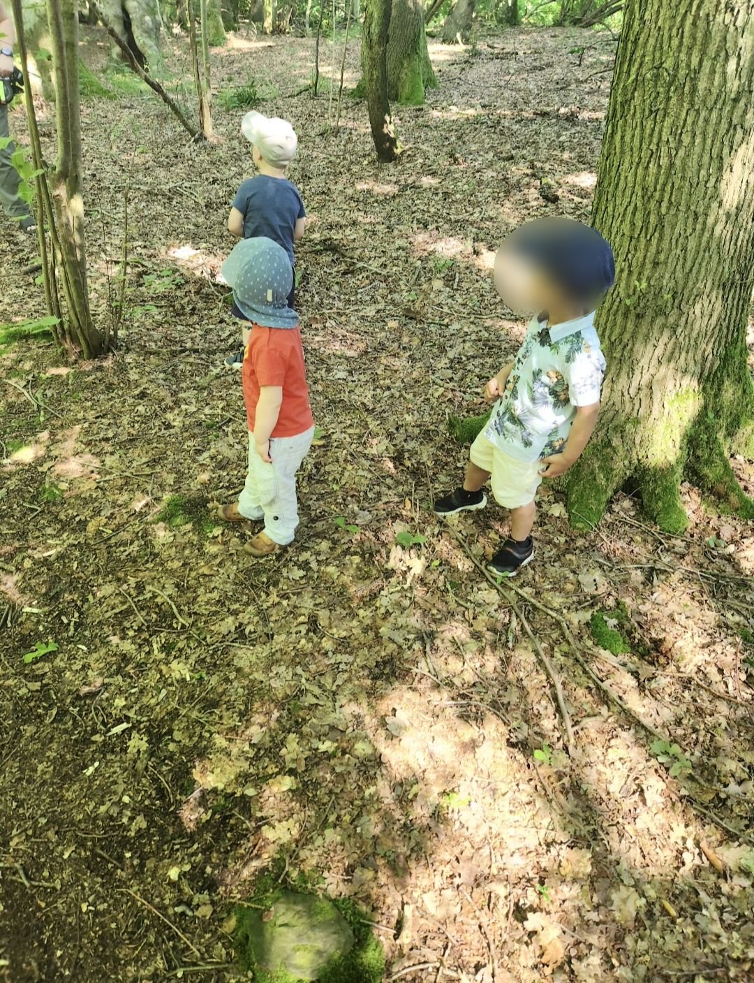 Zwei Kinder im Wald