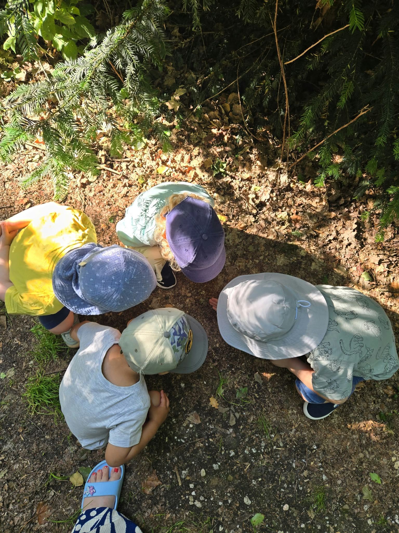 Kinder im Wald
