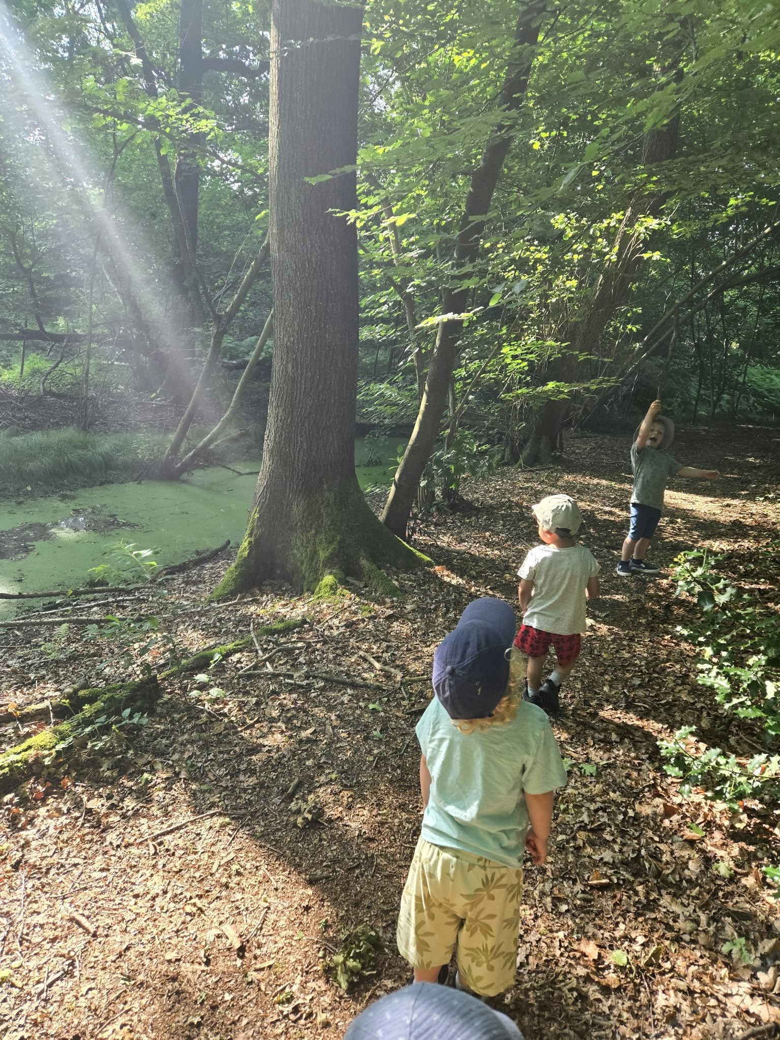 Kinder beim Waldspaziergang